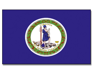 Fahne Virginia 90 x 150