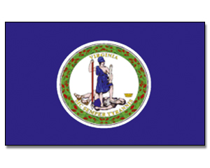 Flag Virginia 90 x 150