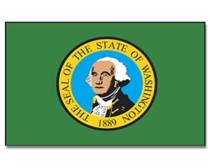 Fahne Washington 90 x 150
