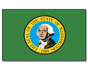 Flag Washington 90 x 150