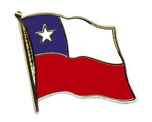 Flag Pins (swinging): Chile