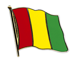 Fahnen-Pins (geschwungen): Guinea