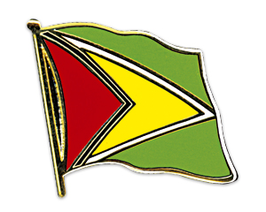 Fahnen-Pins (geschwungen): Guyana