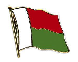 Flag Pins (swinging): Madagascar