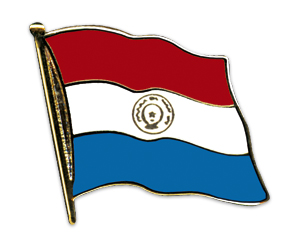 Fahnen-Pins (geschwungen): Paraguay