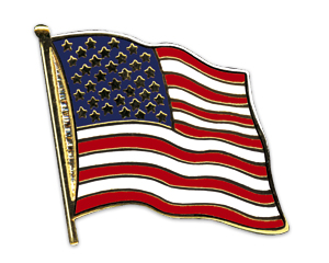 Flag Pins (swinging): USA