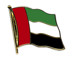 Flag Pins (swinging): United Arab Emirates