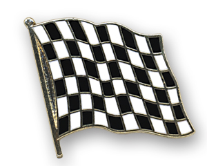 Flag Pins (swinging): Zielflagge
