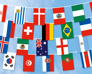 Bunting Flag big: 32 WC 2018 Countries 17,1 m