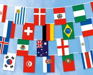 Bunting Flag small: 32 WC 2018 Countries 8,9 m