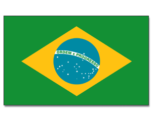 Flags Brazil 30 x 45