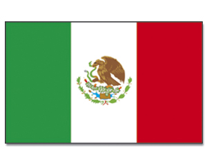 Fahnen Mexiko 30 x 45