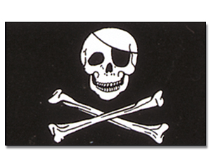 Fahnen Pirat mit Knochen 30 x 45