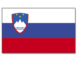 Fahnen Slowenien 30 x 45