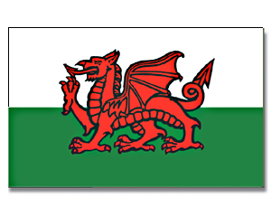 Fahnen Wales 30 x 45