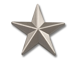 Pins Silver Star 15 mm