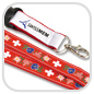 Lanyard-swissMEM-express